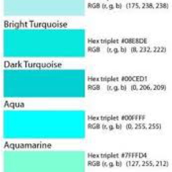 LuLaRoe OS Leggings Turquoise Bold Color Print Blue Ocean Life Pattern Seashells - Picture 13 of 13